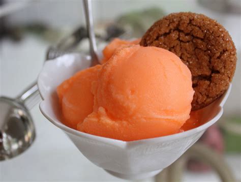 orange sherbet ice cream maker recipe