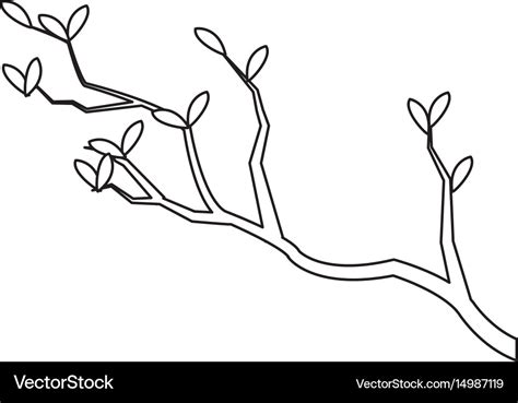 outline picture of tree branch, Tree branch outline. Tree outline branch branches clipart clip