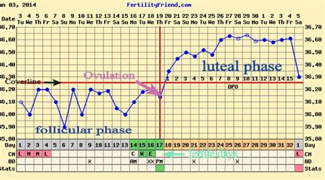 Ovulation Temperature Chart