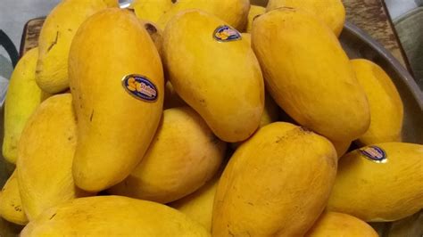 pakistansk mango