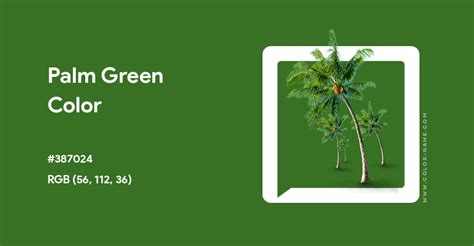 palm green color code, Palm trees. #green, #palms, #trees, #color scheme, #color palette, #