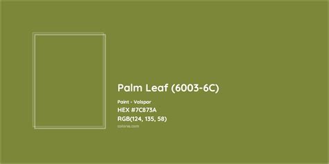 palm leaf color hex code, Color green leaf code hex name. Leaf green color hex code is #2d5a27