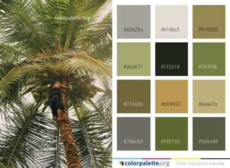 palm tree color code, Color palm tree palette proud. Proud palm tree color palette