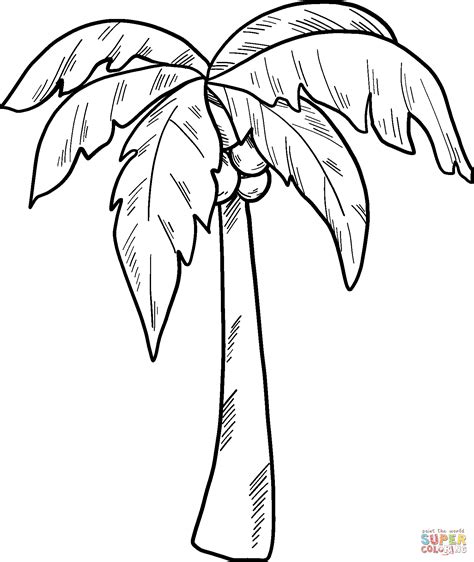 palm tree colouring in page, Insel palmen malvorlage coloring palme malvorlagen diverse. Island palm tree colouring page printable free