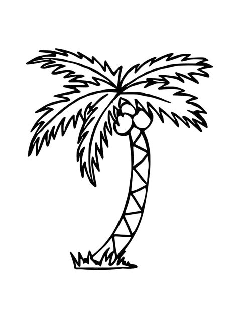 palm tree with coconuts coloring page, Palm tree coloring pages