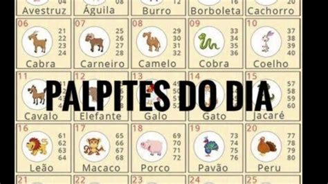 palpites de hoje jogo do bicho