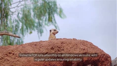 pdf reader faster than adobe, Top 5 pdf apps for your iphone in 2023