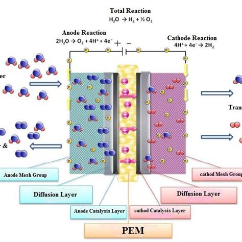 pem electrolysis stack, Electrolysis pem schematic depiction geometry idealized concentration electrolyte coordinate. Pem electrolysis stack