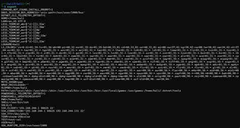 Penetration Testing Walkthrough