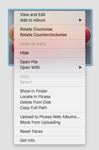 picasa 3 delete duplicates, 