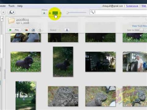picasa 3 library statistics, Picasa beta available now library screenshots archive screenshot info. Picasa 3: image library
