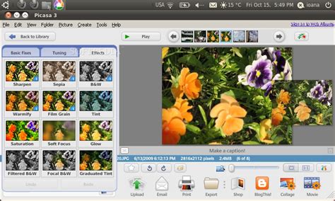 picasa 3.0, Picasa google softpedia review editing beta srl registered softnews trademarks reserved 2001 rights 2021 logo. Google picasa 3.0 beta review