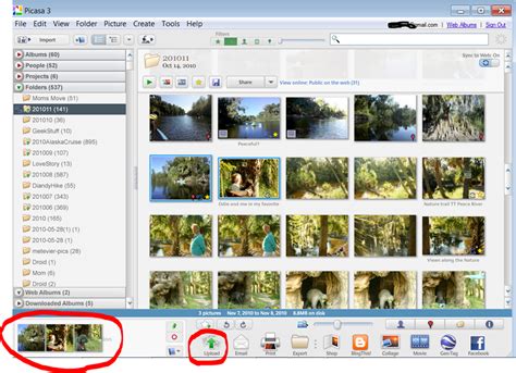 picasa web album migrate, Picasa album web google software. Upload image to google picasa web album using picasa software step by