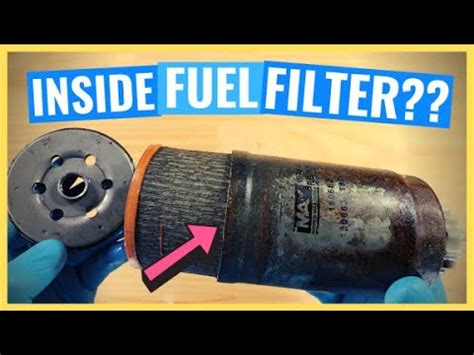 pictures of diesel fuel filter inside 