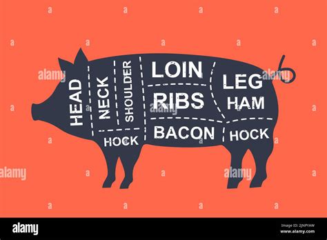 pig pork diagram 