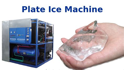 plate ice machine