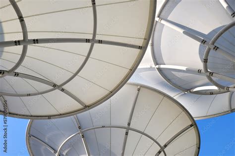 plein Canopy
