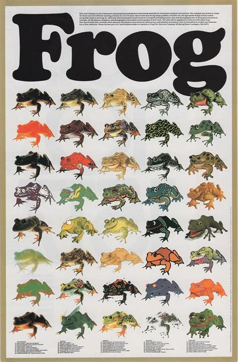 plein Frogs