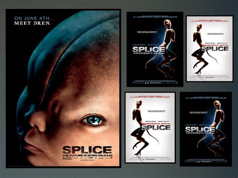 plein Splice