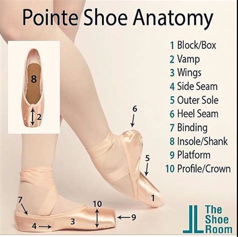 pointe shoe shank