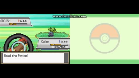 Pokemon Hg Walkthrough