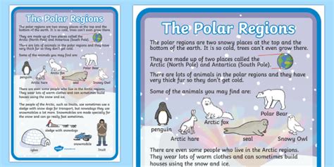 polar zone