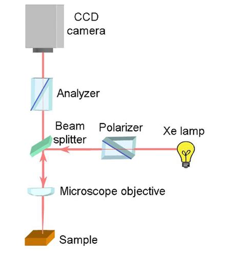 polarizing light micrscope diagram 