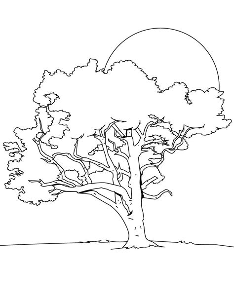 printable coloring pages trees, Printable tree coloring pages