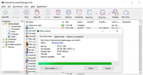 program internet download manager, Internet download manager 6.42