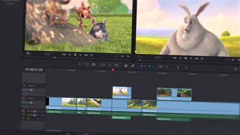 programme zum video schneiden, Dampf konflikt widmen ton aus video schneiden app finger reptilien umfang