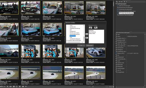 programmi simili a picasa, Picasa access china pc vilmatech do. How do i access picasa in china on pc?