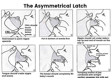proper latch diagram 