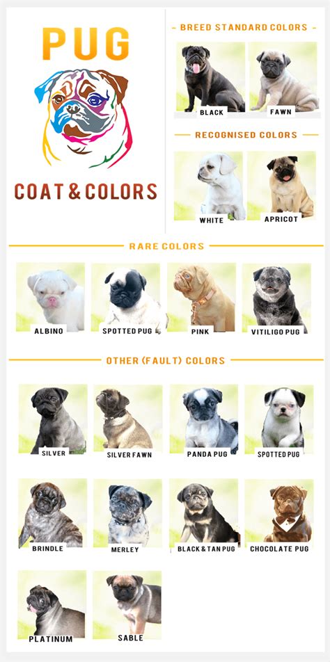 Pug Color Chart