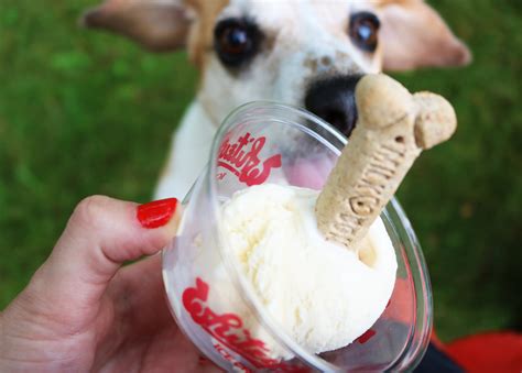 pup cup ice cream