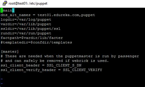 Puppet Could Not Retrieve Catalog