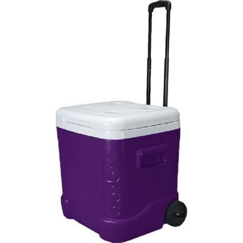 purple ice chest