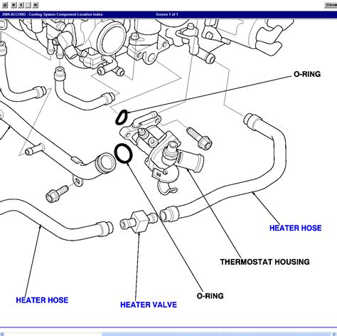 radiator hose diagram 2002 
