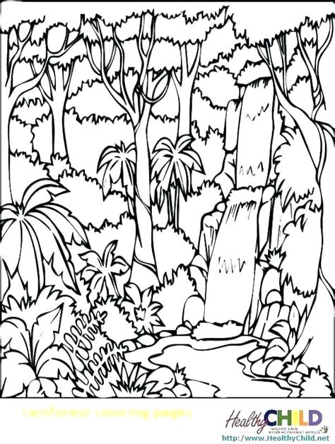 rainforest trees coloring pages, Rainforest coloring pages