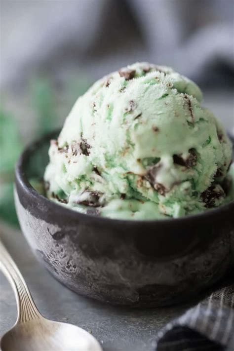 recipes with mint chocolate chip ice cream