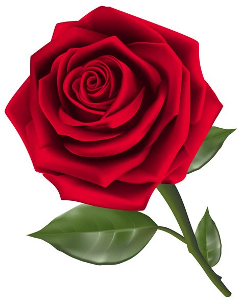 red rose clip art high resolution, Red roses with swirls lovely flowers, red roses, roses, flowers png