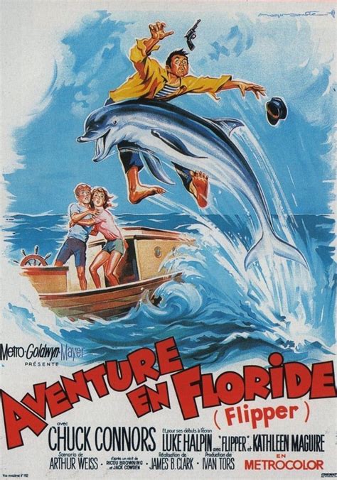 regarder Flipper