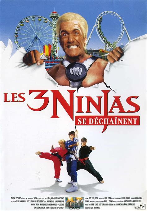 regarder Les 3 Ninjas se déchainent