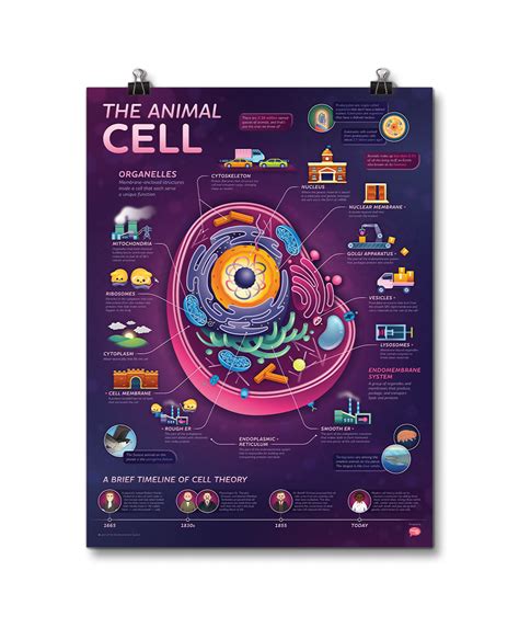 regarder The Cell