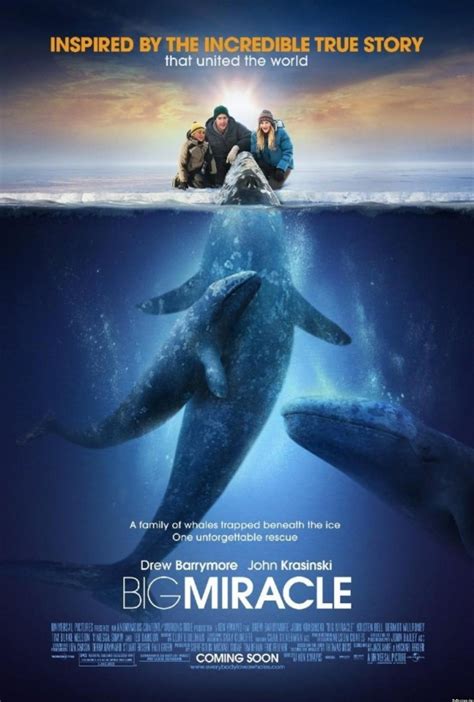 release Big Miracle