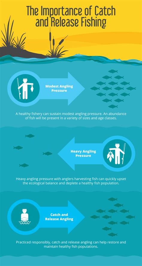 release Catch and Release