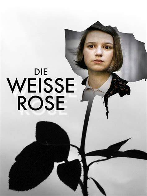 release Die weisse Rose
