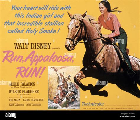 release The Appaloosa