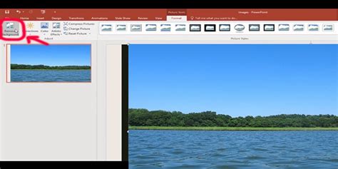 remove background on picture in powerpoint, How to remove the background from a picture in powerpoint – remove.bg blog
