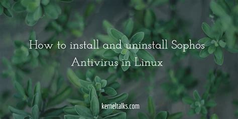 remove sophos antivirus linux, Los mejores antivirus gratis para linux de 2019. Sophos antivirus ubuntu bootable gratis malware