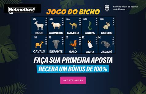 resultado jogo do bicho bandeirantes